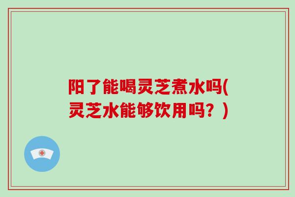 阳了能喝灵芝煮水吗(灵芝水能够饮用吗？)