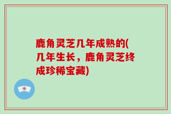 鹿角灵芝几年成熟的(几年生长，鹿角灵芝终成珍稀宝藏)