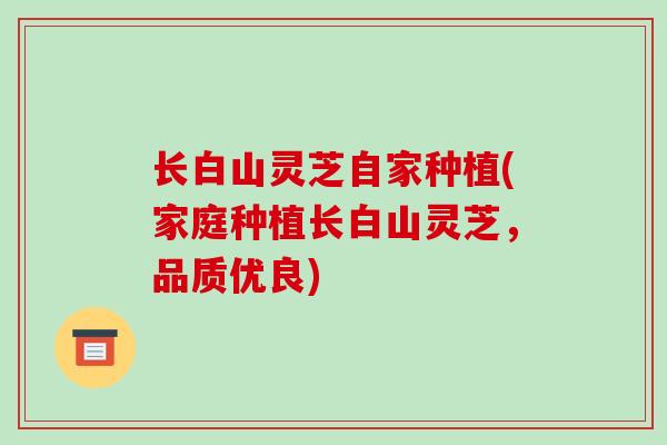 长白山灵芝自家种植(家庭种植长白山灵芝，品质优良)