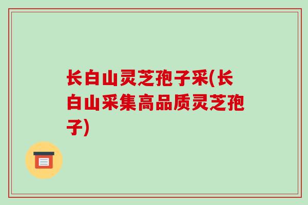 长白山灵芝孢子采(长白山采集高品质灵芝孢子)