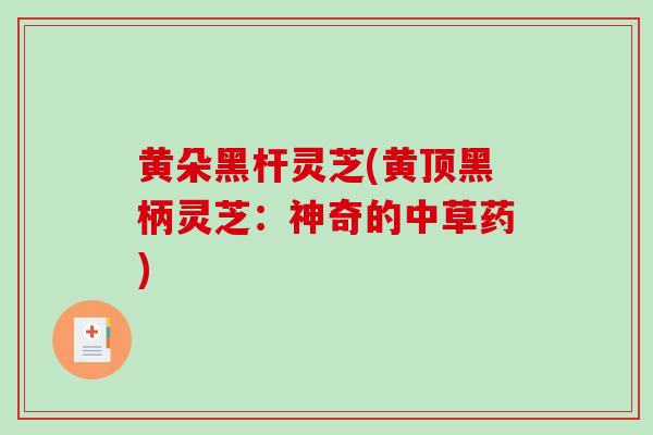 黄朵黑杆灵芝(黄顶黑柄灵芝：神奇的中草药)