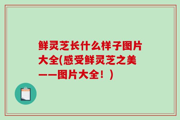 鲜灵芝长什么样子图片大全(感受鲜灵芝之美——图片大全！)