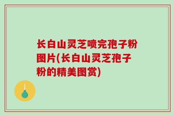 长白山灵芝喷完孢子粉图片(长白山灵芝孢子粉的精美图赏)