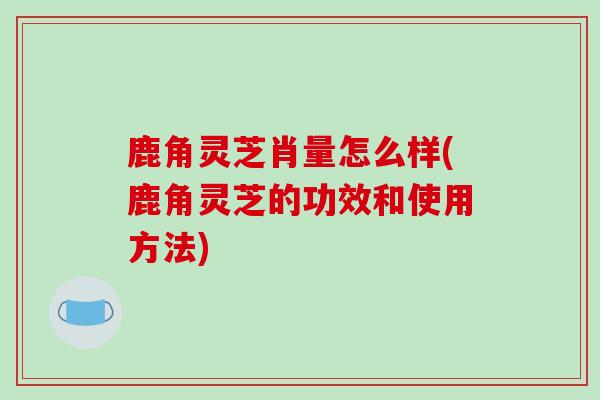 鹿角灵芝肖量怎么样(鹿角灵芝的功效和使用方法)