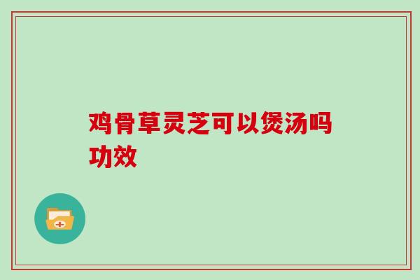 鸡骨草灵芝可以煲汤吗功效