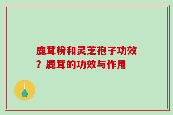 鹿茸粉和灵芝孢子功效？鹿茸的功效与作用