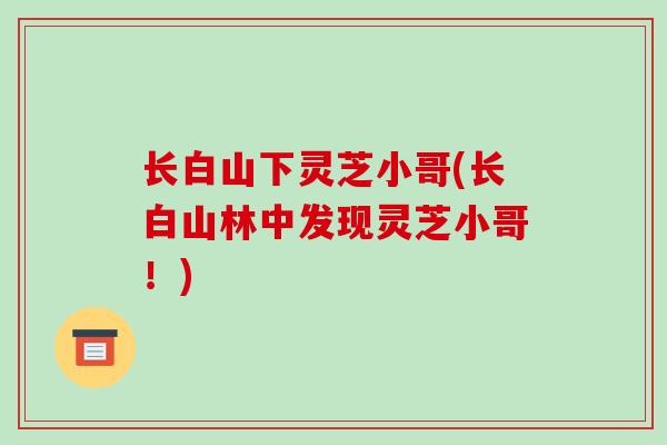 长白山下灵芝小哥(长白山林中发现灵芝小哥！)