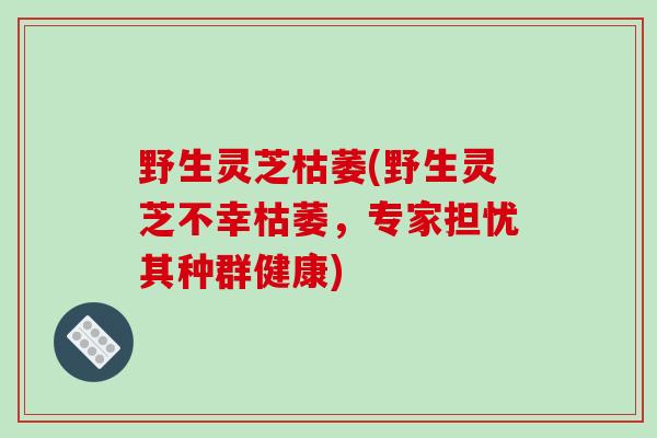 野生灵芝枯萎(野生灵芝不幸枯萎，专家担忧其种群健康)