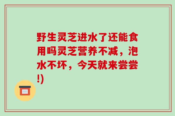 野生灵芝进水了还能食用吗灵芝营养不减，泡水不坏，今天就来尝尝!)