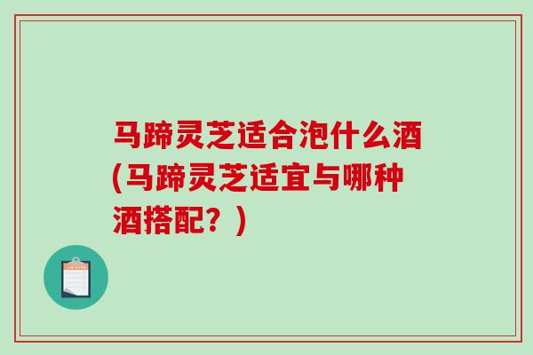 马蹄灵芝适合泡什么酒(马蹄灵芝适宜与哪种酒搭配？)