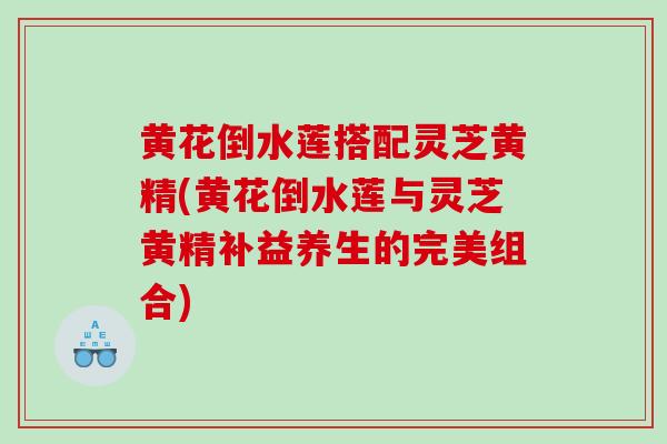 黄花倒水莲搭配灵芝黄精(黄花倒水莲与灵芝黄精补益养生的完美组合)