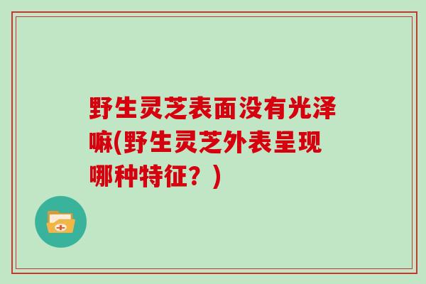 野生灵芝表面没有光泽嘛(野生灵芝外表呈现哪种特征？)