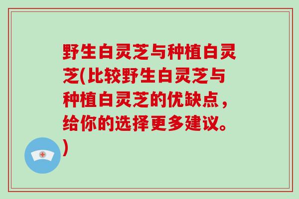 野生白灵芝与种植白灵芝(比较野生白灵芝与种植白灵芝的优缺点，给你的选择更多建议。)