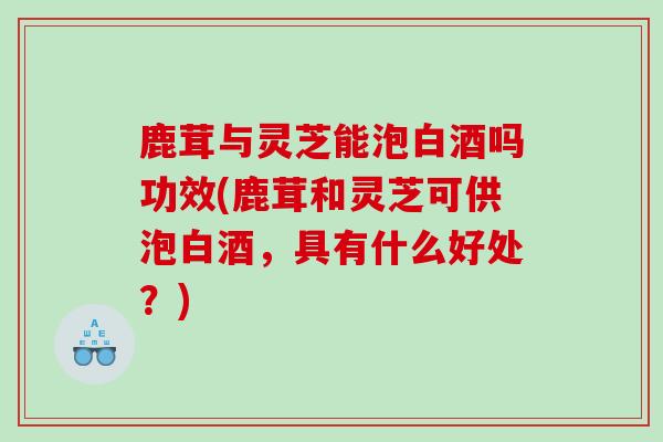 鹿茸与灵芝能泡白酒吗功效(鹿茸和灵芝可供泡白酒，具有什么好处？)