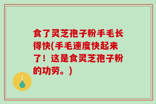 食了灵芝孢子粉手毛长得快(手毛速度快起来了！这是食灵芝孢子粉的功劳。)
