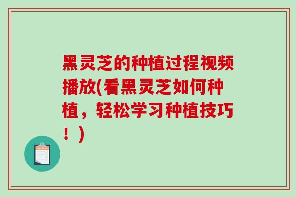 黑灵芝的种植过程视频播放(看黑灵芝如何种植，轻松学习种植技巧！)