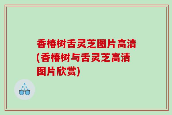 香椿树舌灵芝图片高清(香椿树与舌灵芝高清图片欣赏)