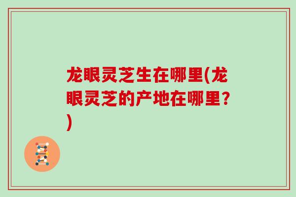 龙眼灵芝生在哪里(龙眼灵芝的产地在哪里？)