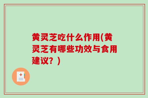 黄灵芝吃什么作用(黄灵芝有哪些功效与食用建议？)