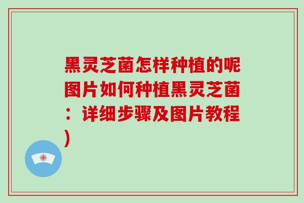 黑灵芝菌怎样种植的呢图片如何种植黑灵芝菌：详细步骤及图片教程)