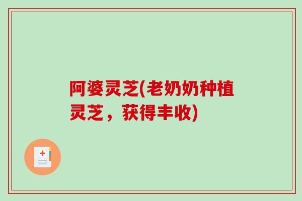 阿婆灵芝(老奶奶种植灵芝，获得丰收)