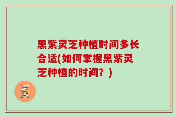 黑紫灵芝种植时间多长合适(如何掌握黑紫灵芝种植的时间？)