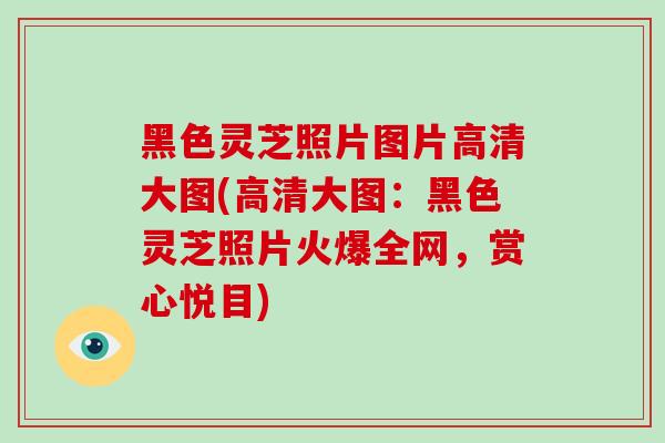 黑色灵芝照片图片高清大图(高清大图：黑色灵芝照片火爆全网，赏心悦目)