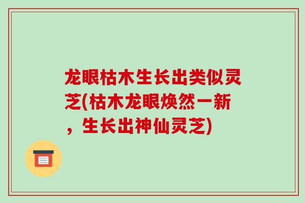龙眼枯木生长出类似灵芝(枯木龙眼焕然一新，生长出神仙灵芝)
