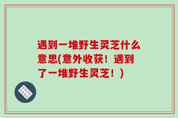 遇到一堆野生灵芝什么意思(意外收获！遇到了一堆野生灵芝！)