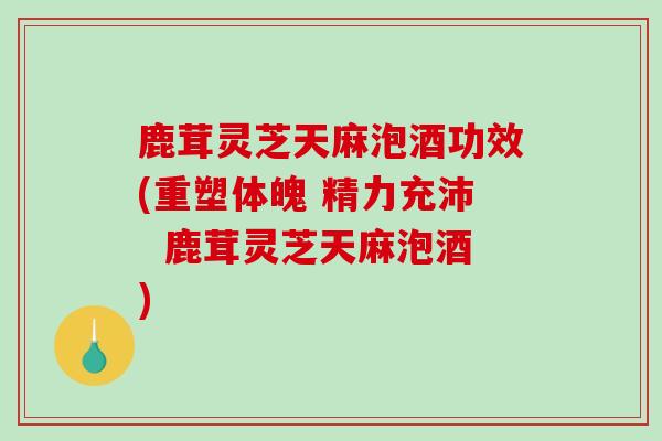 鹿茸灵芝天麻泡酒功效(重塑体魄 精力充沛  鹿茸灵芝天麻泡酒)