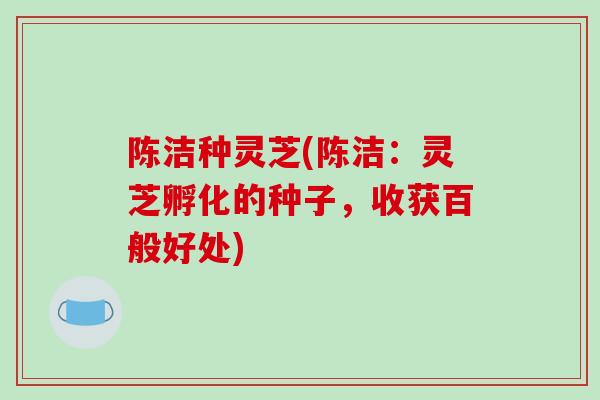 陈洁种灵芝(陈洁：灵芝孵化的种子，收获百般好处)