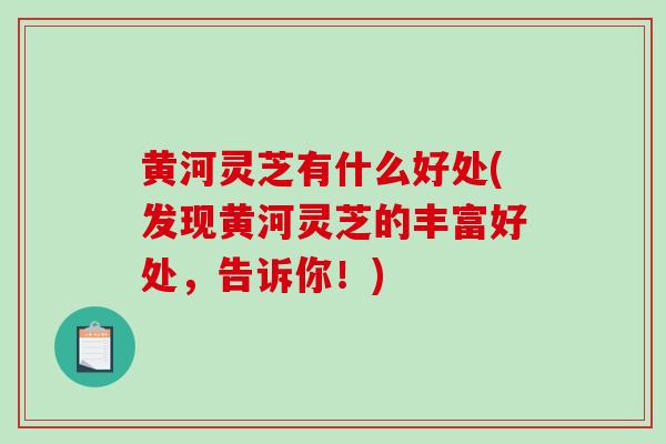 黄河灵芝有什么好处(发现黄河灵芝的丰富好处，告诉你！)