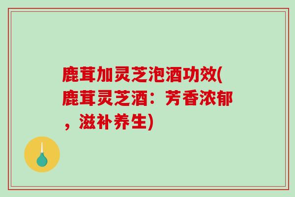 鹿茸加灵芝泡酒功效(鹿茸灵芝酒：芳香浓郁，滋补养生)