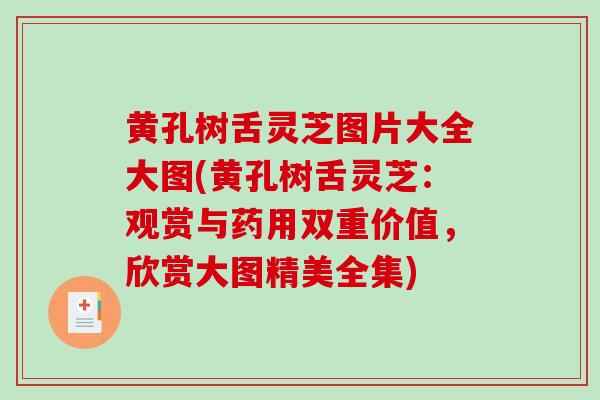 黄孔树舌灵芝图片大全大图(黄孔树舌灵芝：观赏与药用双重价值，欣赏大图精美全集)