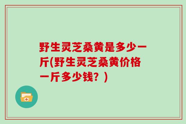 野生灵芝桑黄是多少一斤(野生灵芝桑黄价格一斤多少钱？)