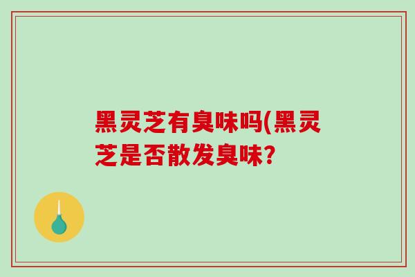 黑灵芝有臭味吗(黑灵芝是否散发臭味？