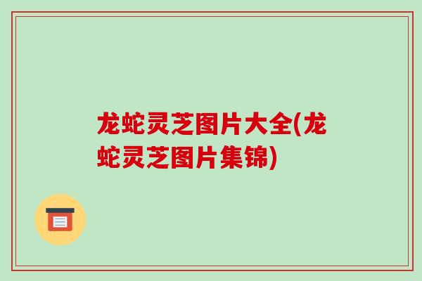 龙蛇灵芝图片大全(龙蛇灵芝图片集锦)