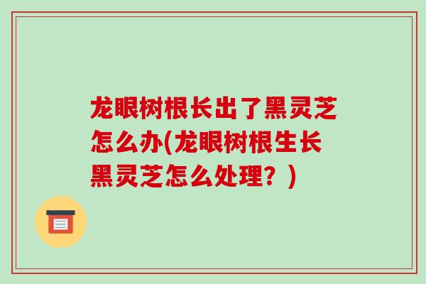 龙眼树根长出了黑灵芝怎么办(龙眼树根生长黑灵芝怎么处理？)