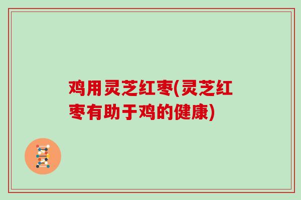 鸡用灵芝红枣(灵芝红枣有助于鸡的健康)