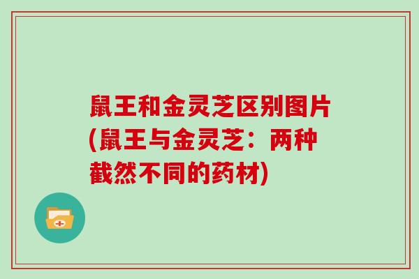 鼠王和金灵芝区别图片(鼠王与金灵芝：两种截然不同的药材)