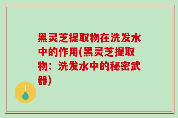 黑灵芝提取物在洗发水中的作用(黑灵芝提取物：洗发水中的秘密武器)