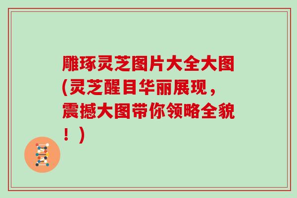 雕琢灵芝图片大全大图(灵芝醒目华丽展现，震撼大图带你领略全貌！)