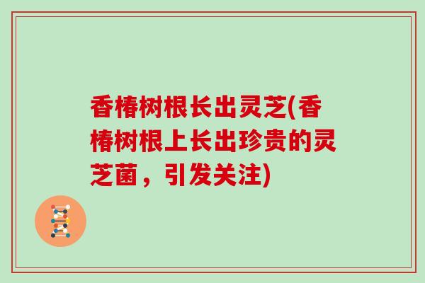 香椿树根长出灵芝(香椿树根上长出珍贵的灵芝菌，引发关注)