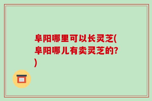 阜阳哪里可以长灵芝(阜阳哪儿有卖灵芝的？)