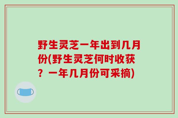 野生灵芝一年出到几月份(野生灵芝何时收获？一年几月份可采摘)