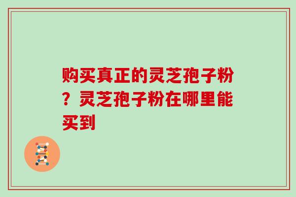 购买真正的灵芝孢子粉？灵芝孢子粉在哪里能买到