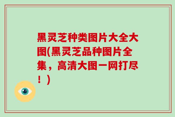 黑灵芝种类图片大全大图(黑灵芝品种图片全集，高清大图一网打尽！)