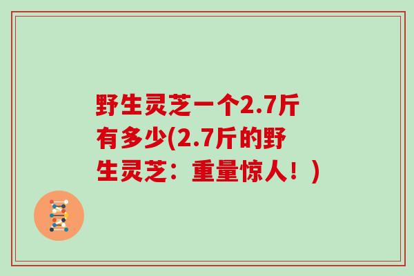 野生灵芝一个2.7斤有多少(2.7斤的野生灵芝：重量惊人！)