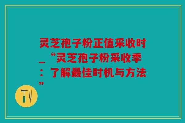 灵芝孢子粉正值采收时_“灵芝孢子粉采收季：了解佳时机与方法”