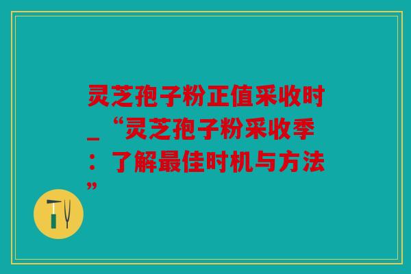 灵芝孢子粉正值采收时_“灵芝孢子粉采收季：了解最佳时机与方法”